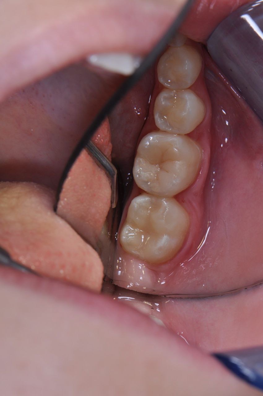 Шор Лиора Мошевна