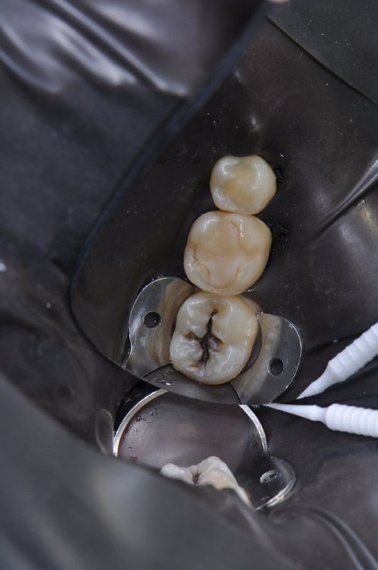 Шор Лиора Мошевна