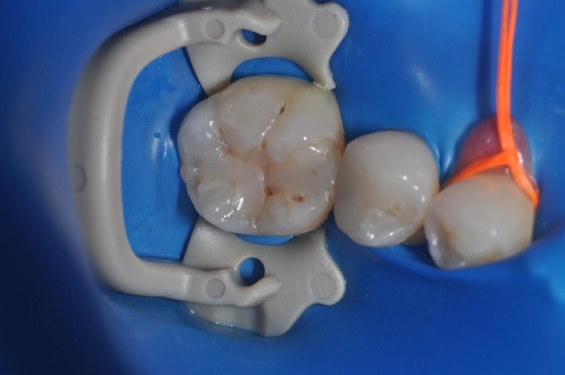 Шор Лиора Мошевна