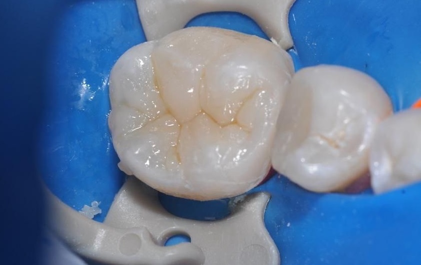 Шор Лиора Мошевна